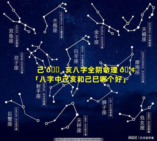 己 🕸 亥八字全阴命理 🦢 「八字中己亥和己巳哪个好」